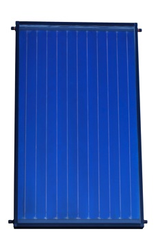 platinumcollector2